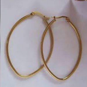 Arracada Ovalo 8.5 x 5.5